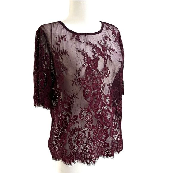 Lace Embroidered Y2K Mesh Top size S Burgundy Goth Fairy Grunge Festival Sheer - Picture 2 of 7